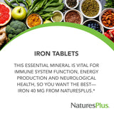 NaturesPlus Iron Supplement 68g packaging