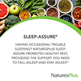 NaturesPlus Melatonin 3 mg Tablets back view with ingredient list