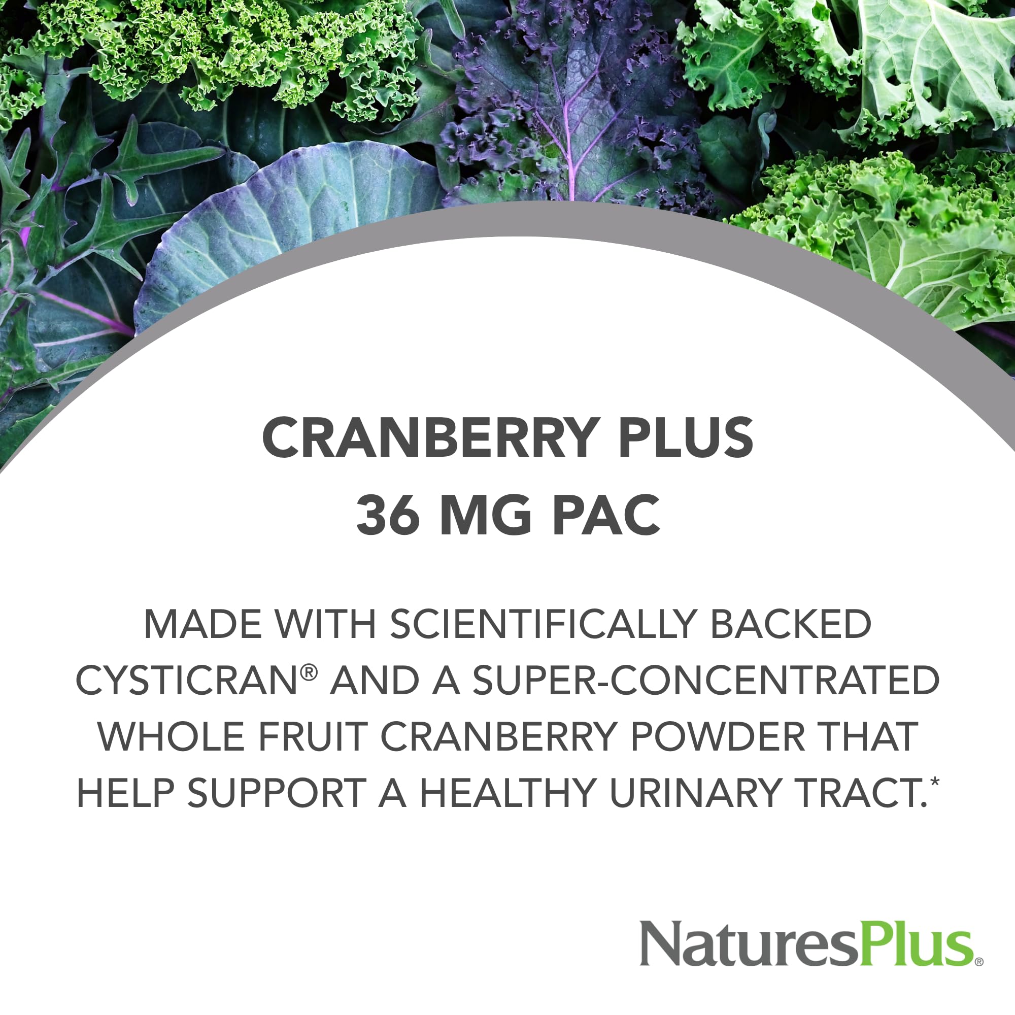NaturesPlus PRO Cranberry Plus supplement back view showing ingredients