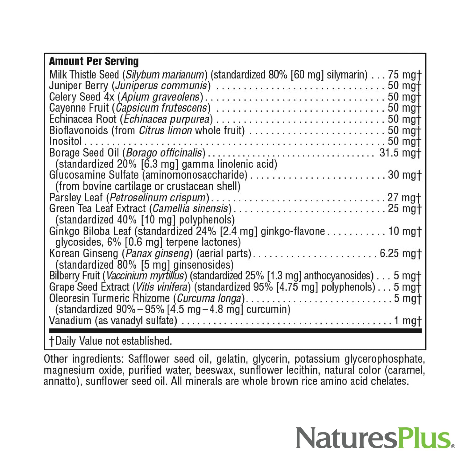 NaturesPlus Regeneration multivitamin softgels with measuring spoon