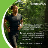 NaturesPlus Shot-O-B12 Liquid Vitamin B12 ingredients list
