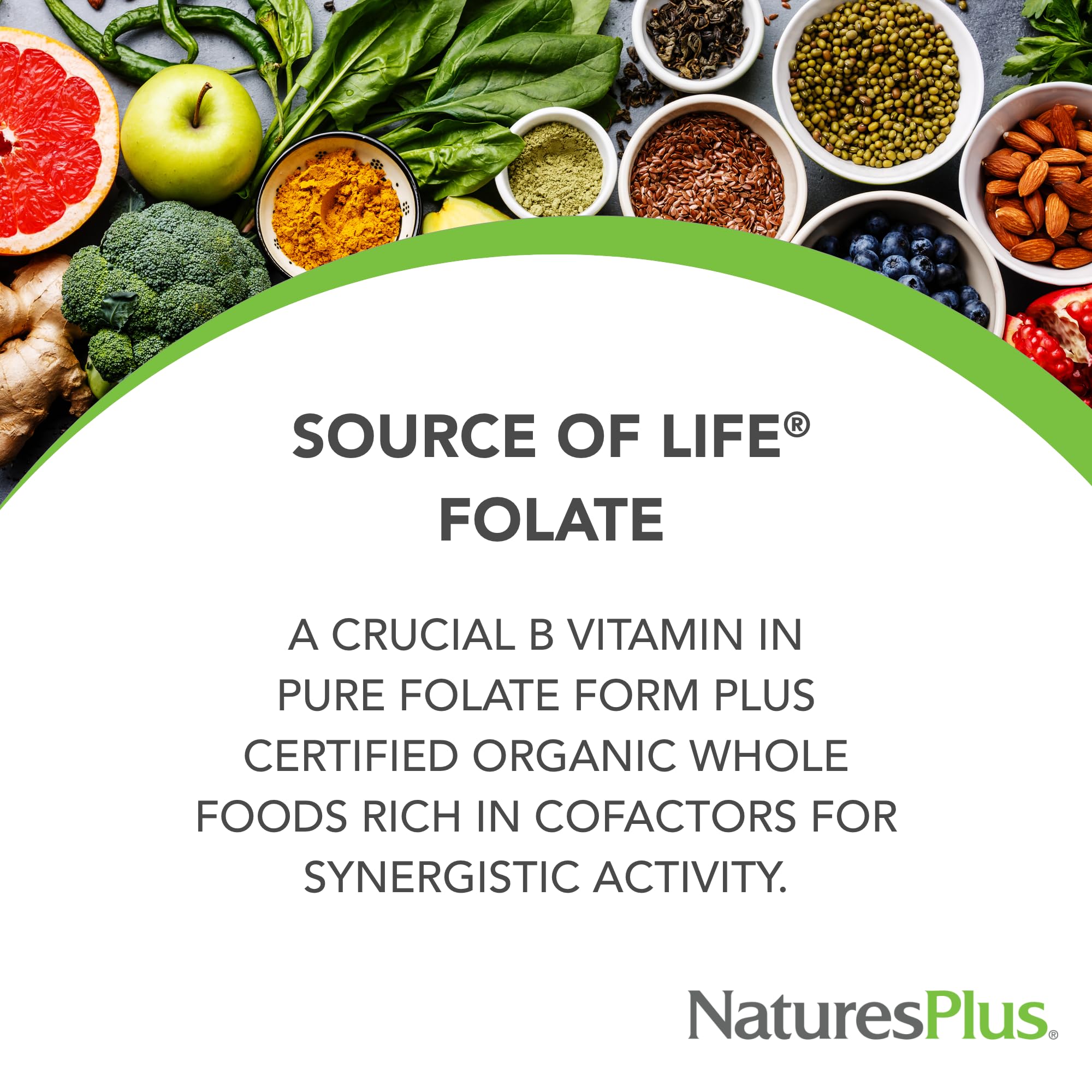 NaturesPlus Source of Life Garden Organic Folate 400 mcg side view