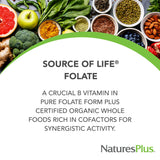 NaturesPlus Source of Life Garden Organic Folate 400 mcg side view