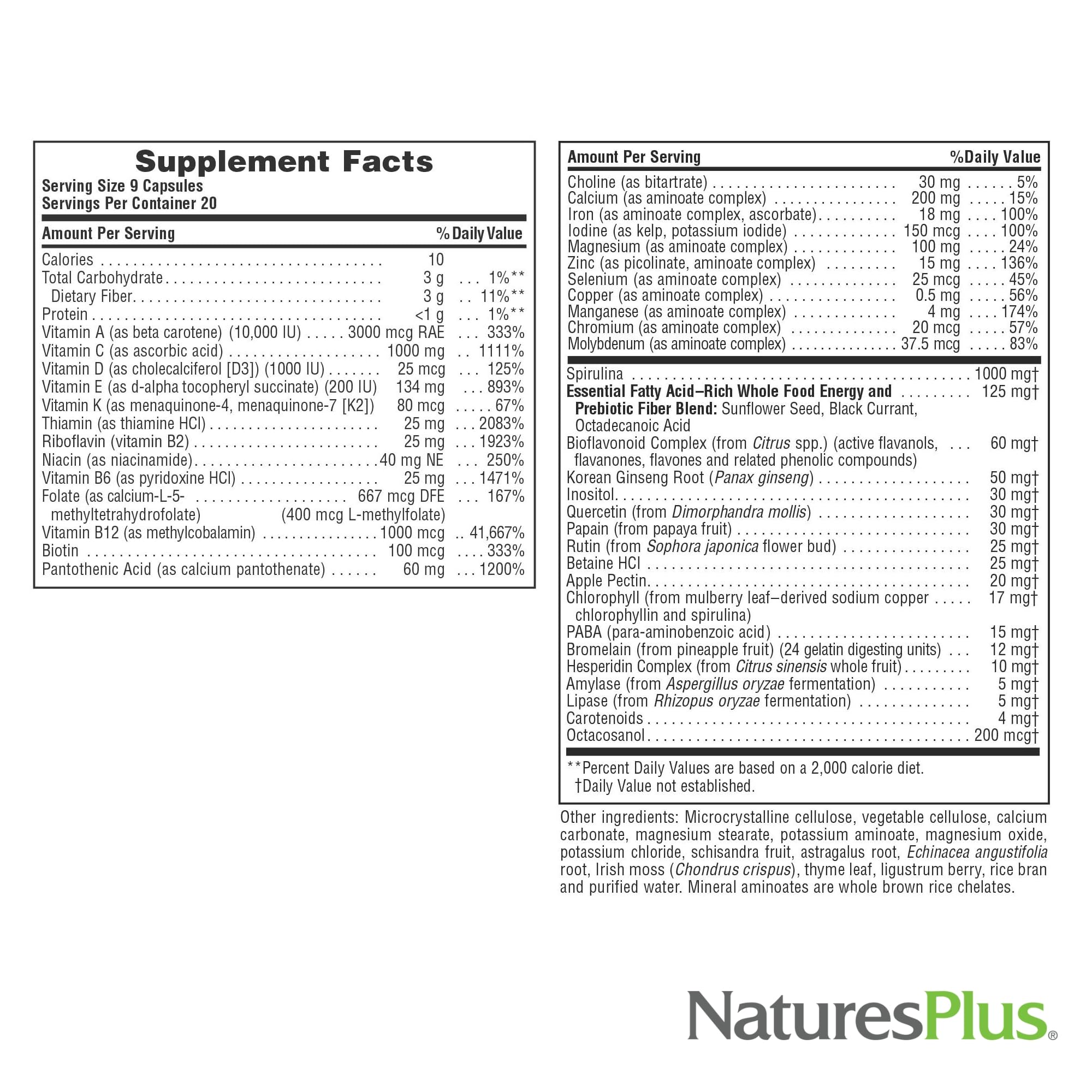 NaturesPlus Source of Life Multivitamin 200g close-up of tablets