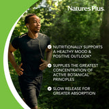 NaturesPlus St. John's Wort Extended-Release Tablets ingredients list