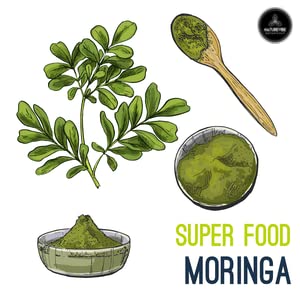 Naturevibe Botanicals Moringa Powder 2lb mixed in a smoothie