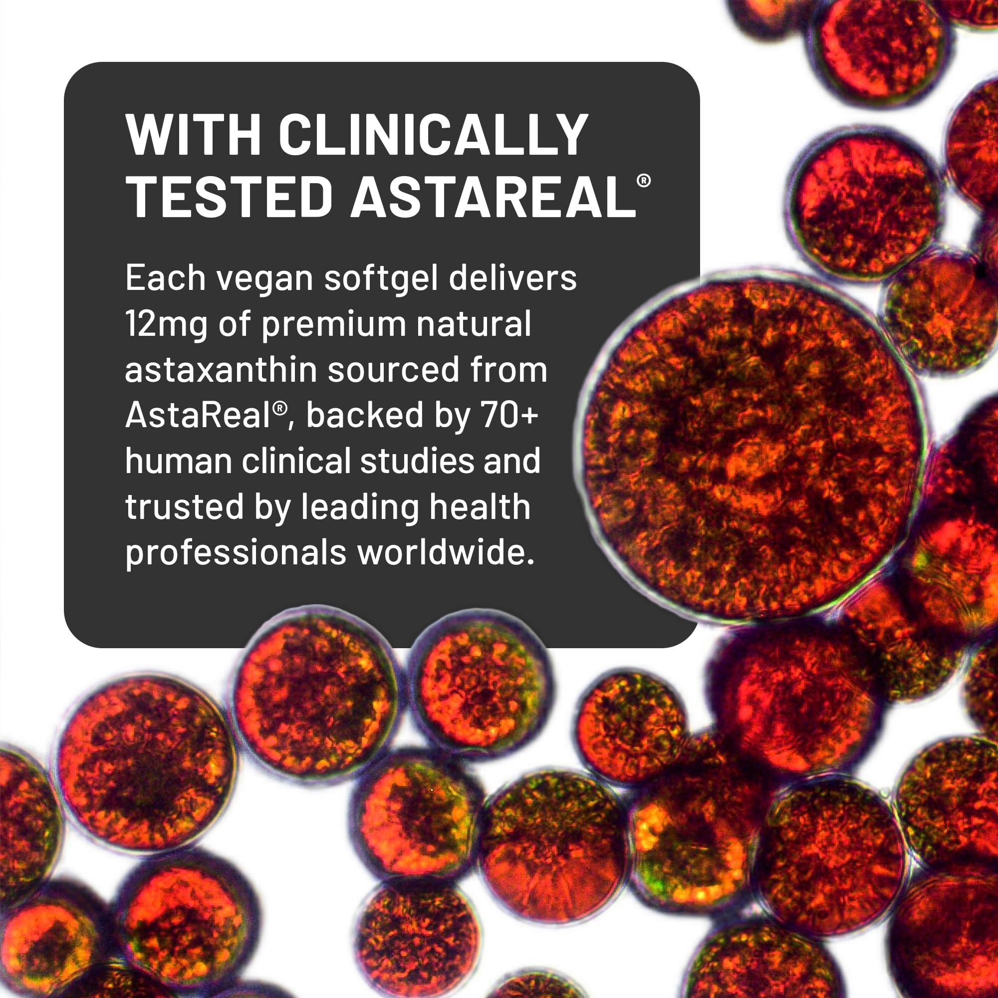 NatureWise Astaxanthin softgel bottle with 60 capsules