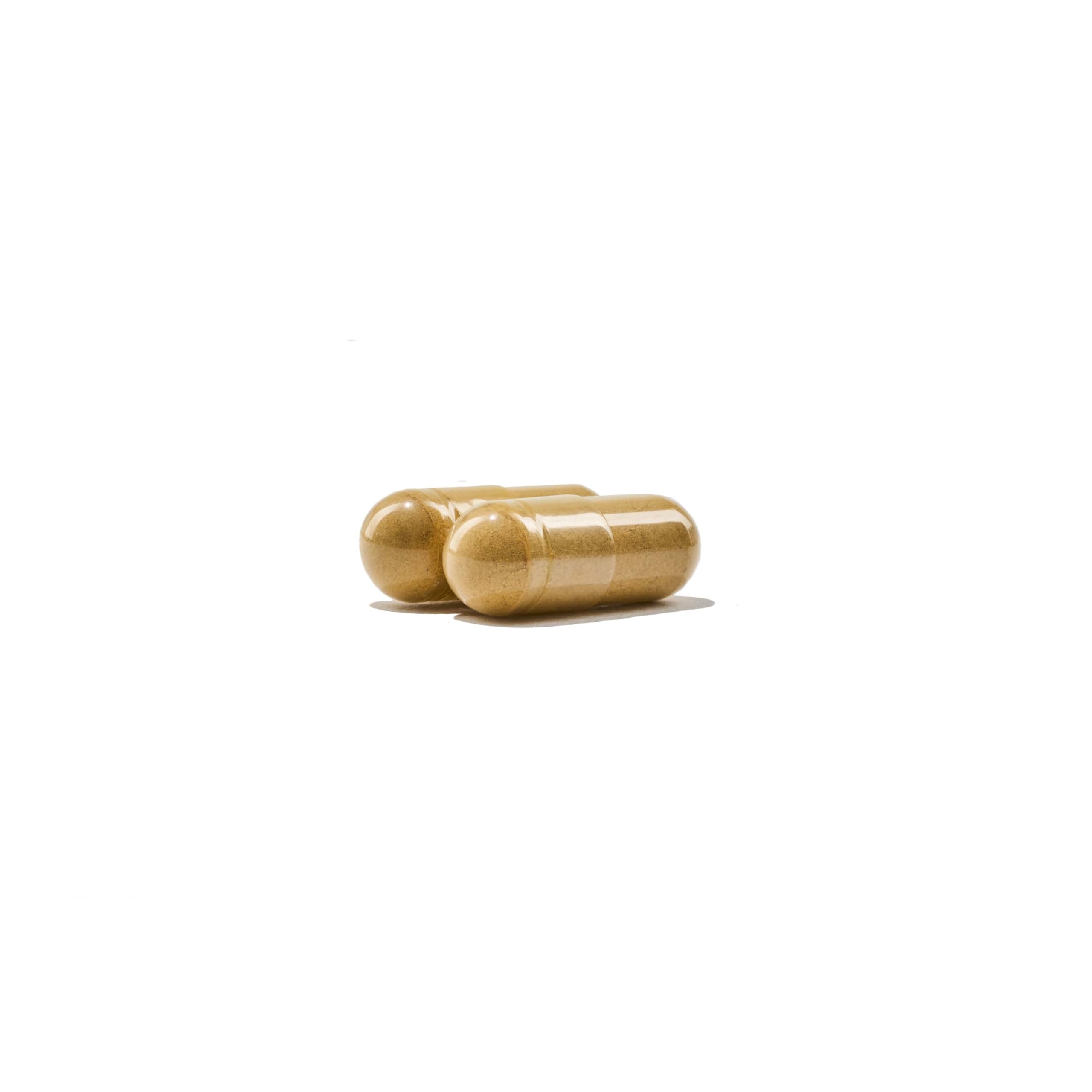 NatureWise Men's Multivitamin bottle with natural background