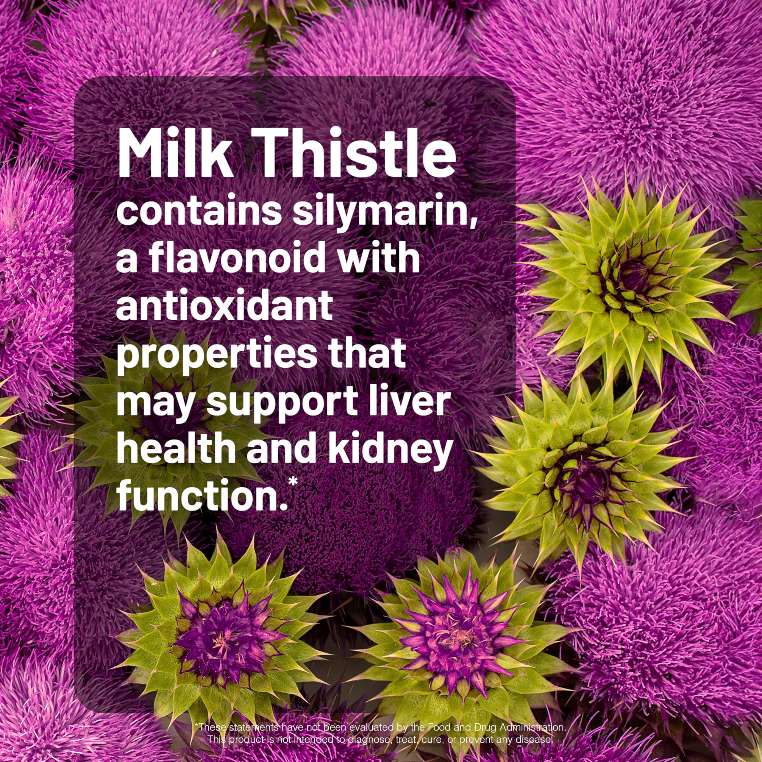 NatureWise Milk Thistle Capsules with a measuring spoon and herbs