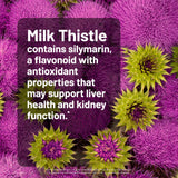 NatureWise Milk Thistle Capsules with a measuring spoon and herbs