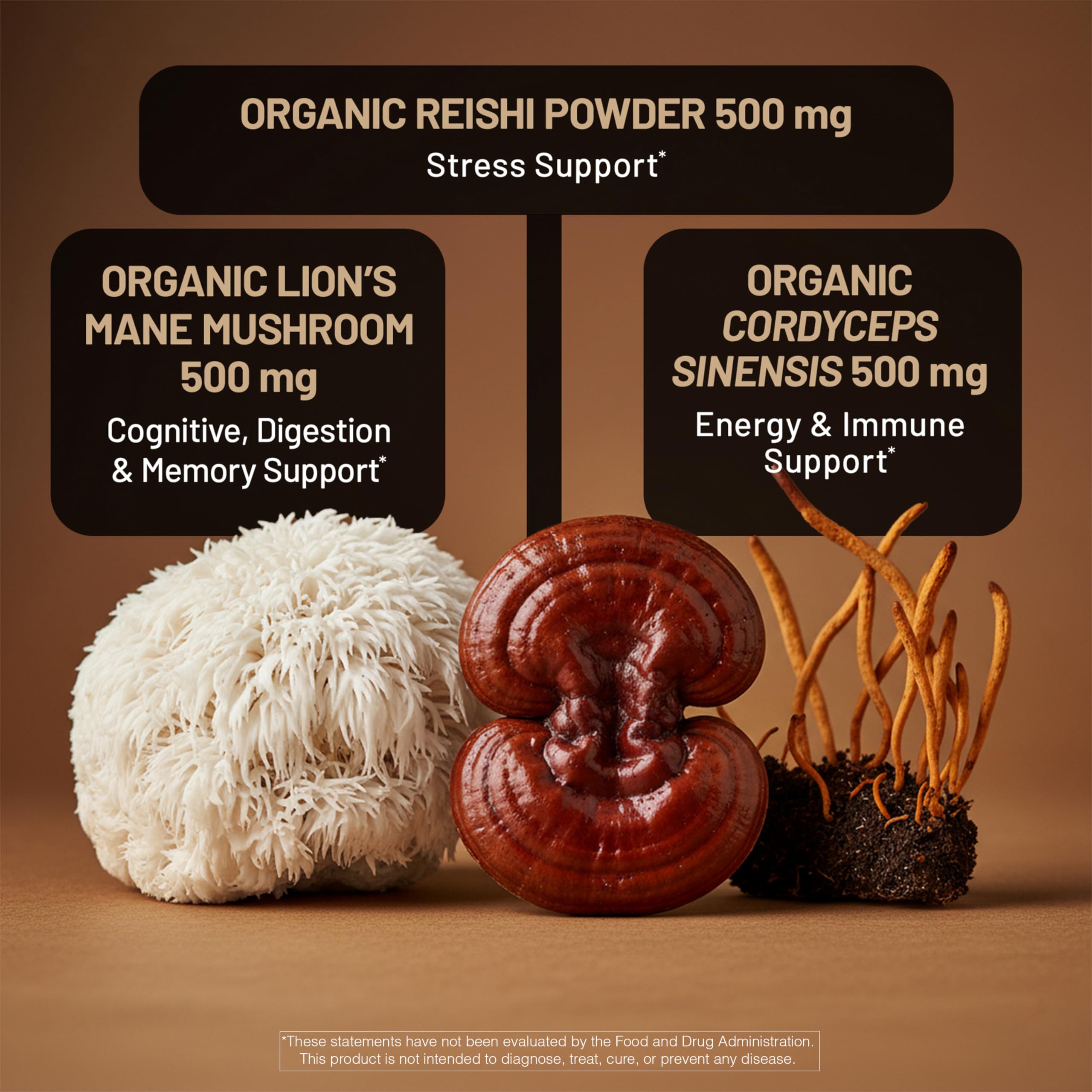 NatureWise Mushroom Complex in a lifestyle setting