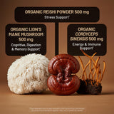 NatureWise Mushroom Complex in a lifestyle setting