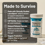 NatureWise Probiotics capsules on a wooden table
