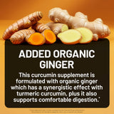 NatureWise Turmeric Curcumin Capsules 500mg ingredients list