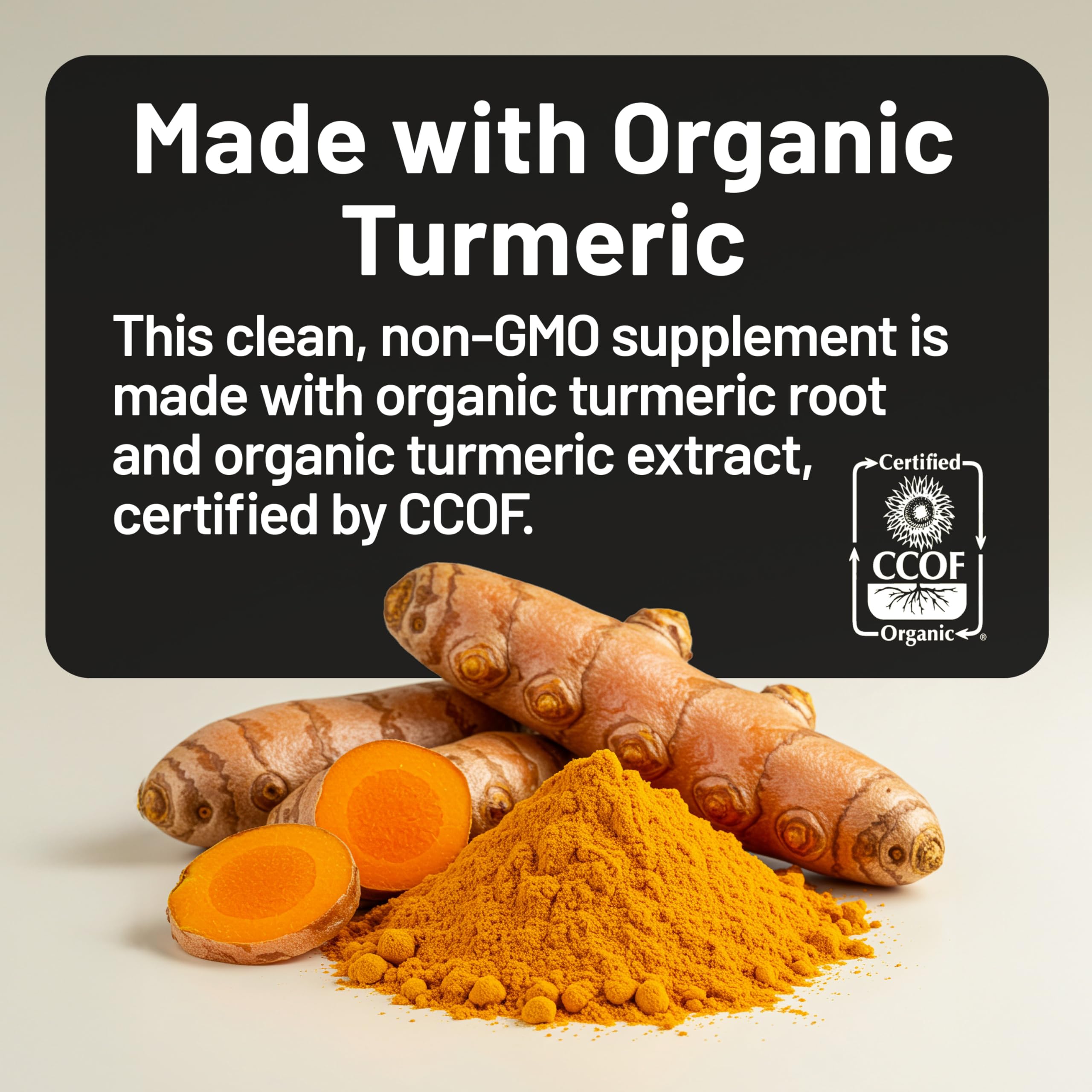 NatureWise Turmeric Curcumin Capsules 500mg with packaging