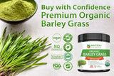 Nautical Elements Organic Barley Grass Powder being mixed into a smoothie