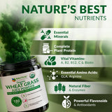 Nautical Elements Organic Wheat Grass Juice Powder in a glass of water