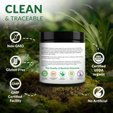 Nautical Elements Organic Wheat Grass Juice Powder on a kitchen counter