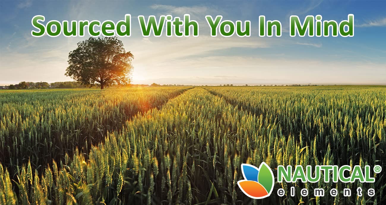 Nautical Elements Organic Wheatgrass Powder lifestyle scene