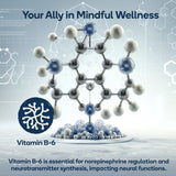 Nedley Health Brain Supplement 50g capsule close-up