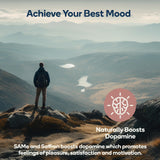 Nedley Health Mood Supplement ingredients list