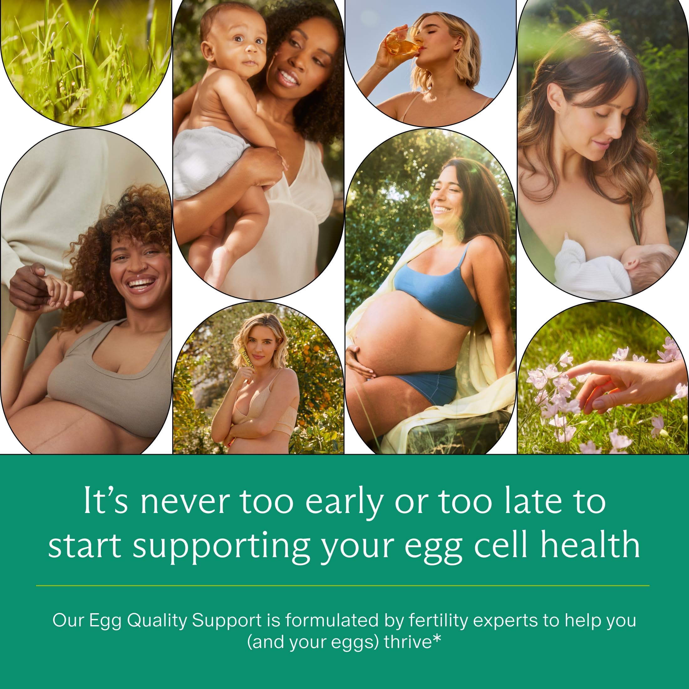 Needed. Egg Quality Support Acetyl L-Carnitine capsules on a wooden table