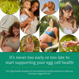 Needed. Egg Quality Support Acetyl L-Carnitine capsules on a wooden table
