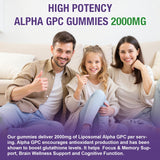 Nelishine Liposomal Alpha GPC Gummies in a bowl with a colourful background
