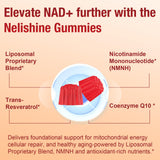 Nelishine Liposomal NMNH Gummies 1000MG displayed on a wooden table