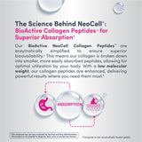 NeoCell Collagen Beauty Infusion Powder with cranberry flavour