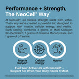 NeoCell Creatine + Multi Collagen Protein Powder mixed in a smoothie