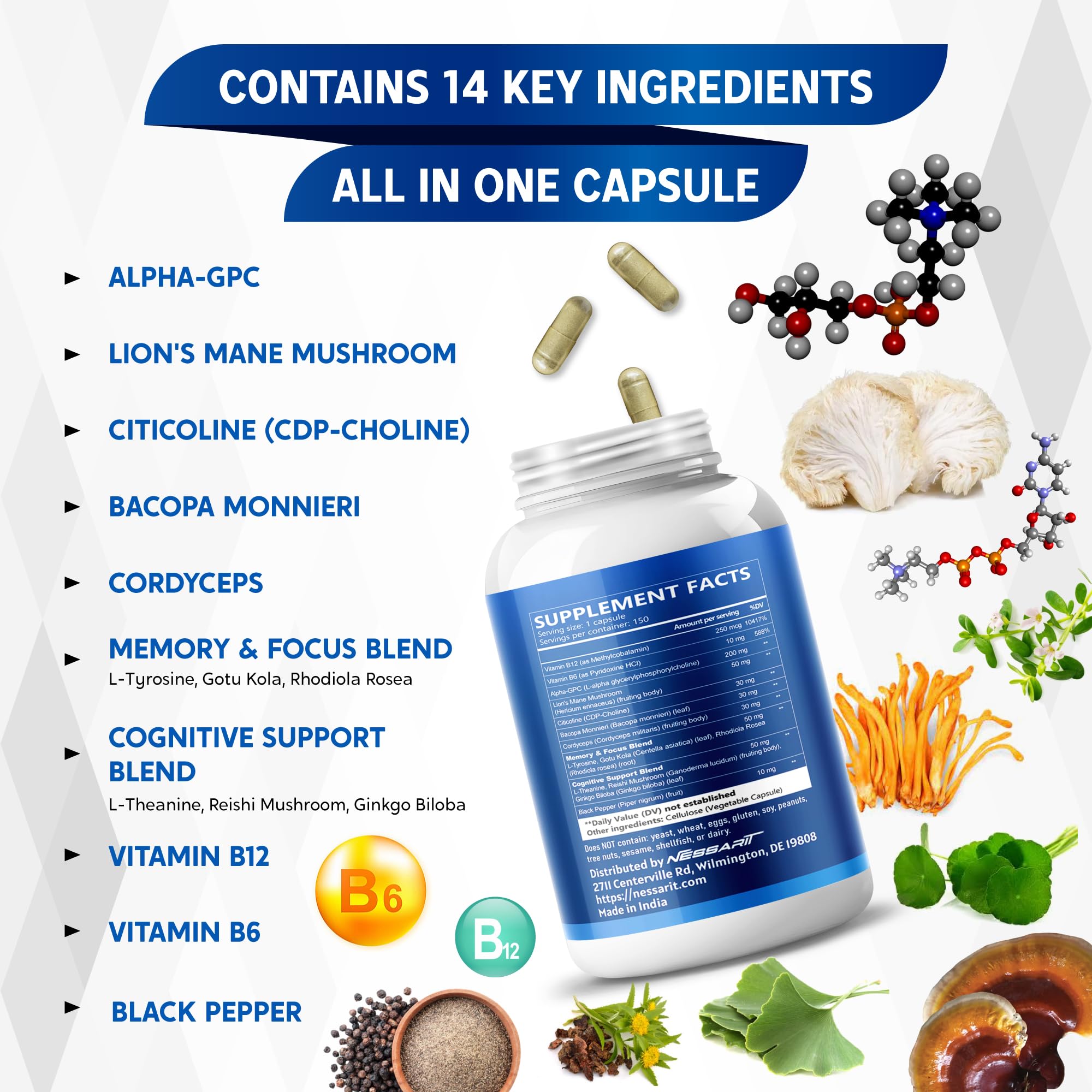 NESSARIT Liposomal Alpha-GPC bottle with label