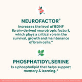 NEURIVA Brain Health Supplement capsule close-up