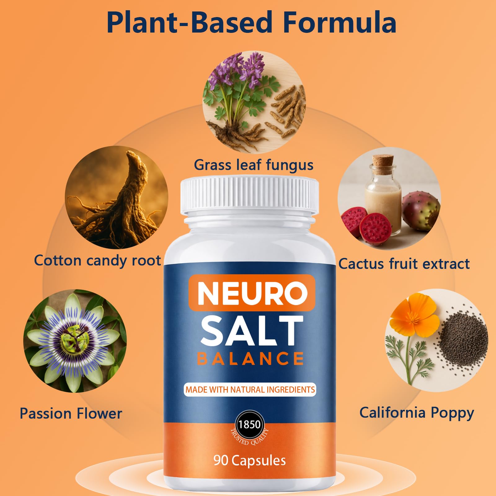 NEURO SALT Daily Hydration Support Capsules on a kitchen counter