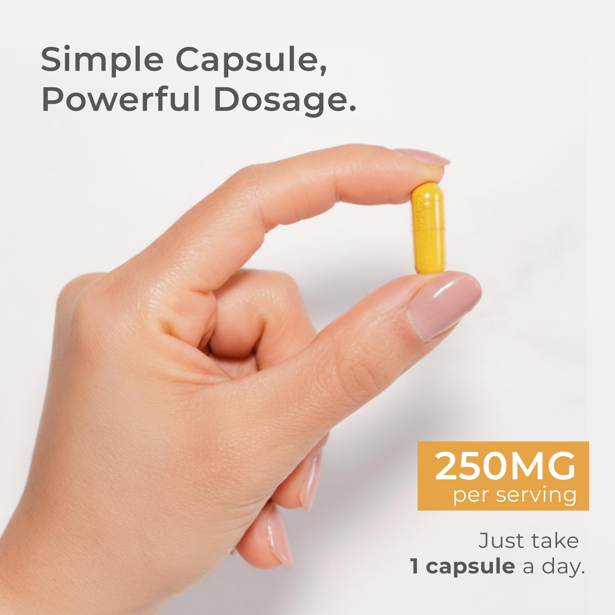Neurogan Dihydroberberine Capsules lifestyle scene on a kitchen counter