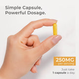 Neurogan Dihydroberberine Capsules lifestyle scene on a kitchen counter