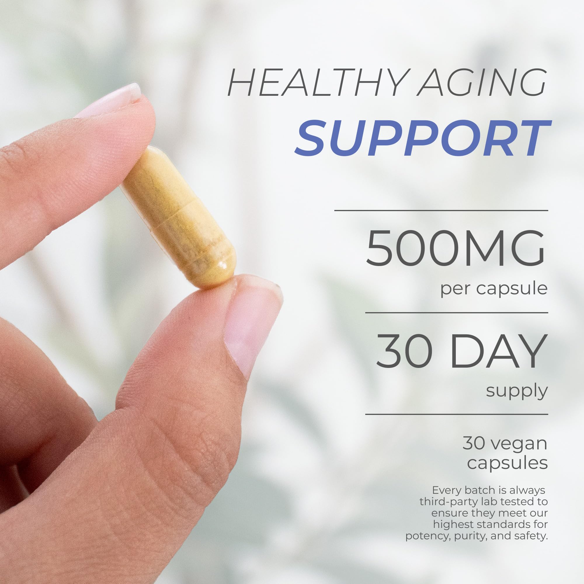 Neurogan Fisetin Supplement 500mg vegan capsules bottle with label