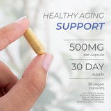 Neurogan Fisetin Supplement 500mg vegan capsules bottle with label