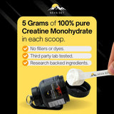 Neva Set Creatine Monohydrate Powder 495g displayed on a fitness mat