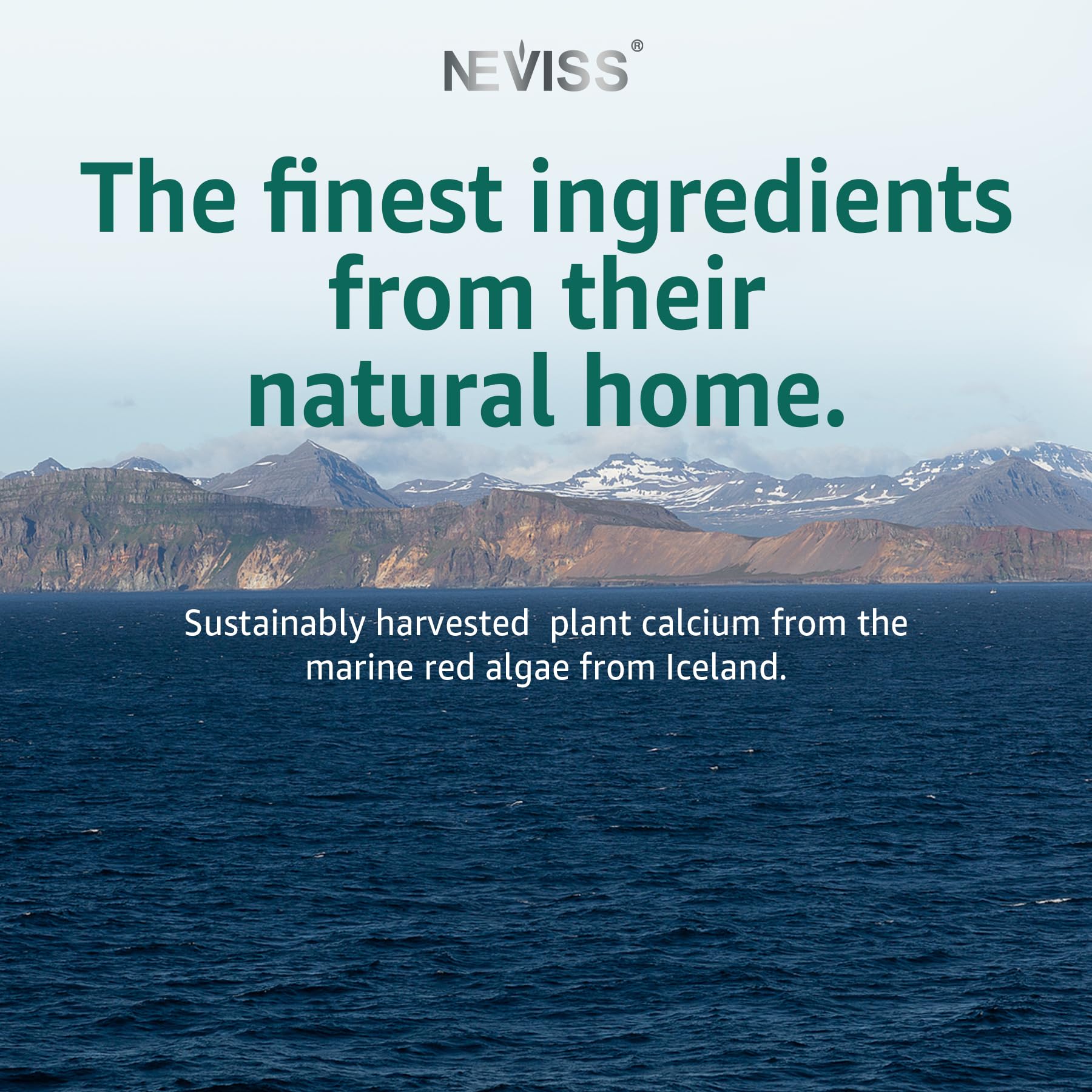 NEVISS Algae Calcium Gummies in a hand