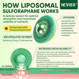 NEVISS Liposomal Sulforaphane Gummies opened packaging
