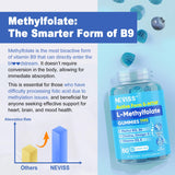 NEVISS Methyl Folate Gummies in a hand