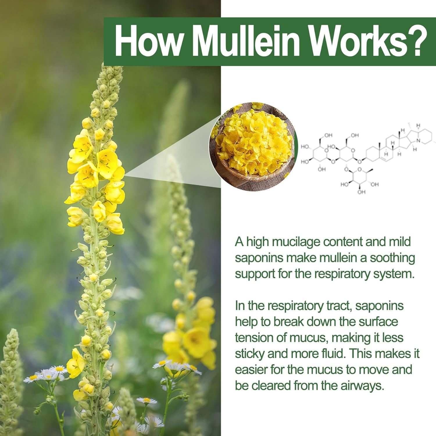 NEVISS Mullein Leaf Gummies ingredients list