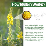NEVISS Mullein Leaf Gummies with a measuring spoon