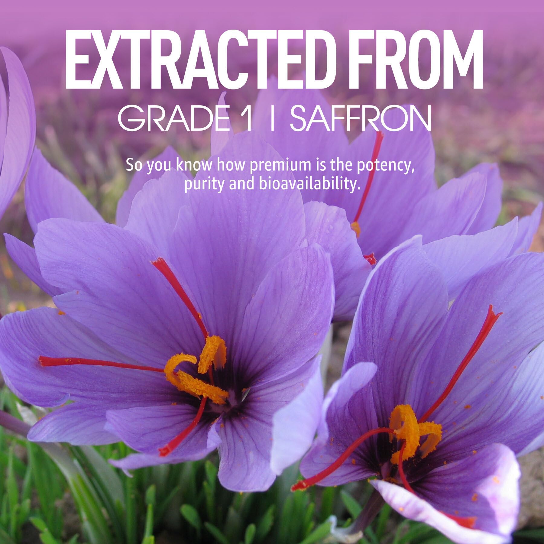 NEVISS Organic Saffron Extract Gummies showing serving size