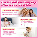 NEVISS Prenatal Vitamins Gummies displayed on a kitchen counter