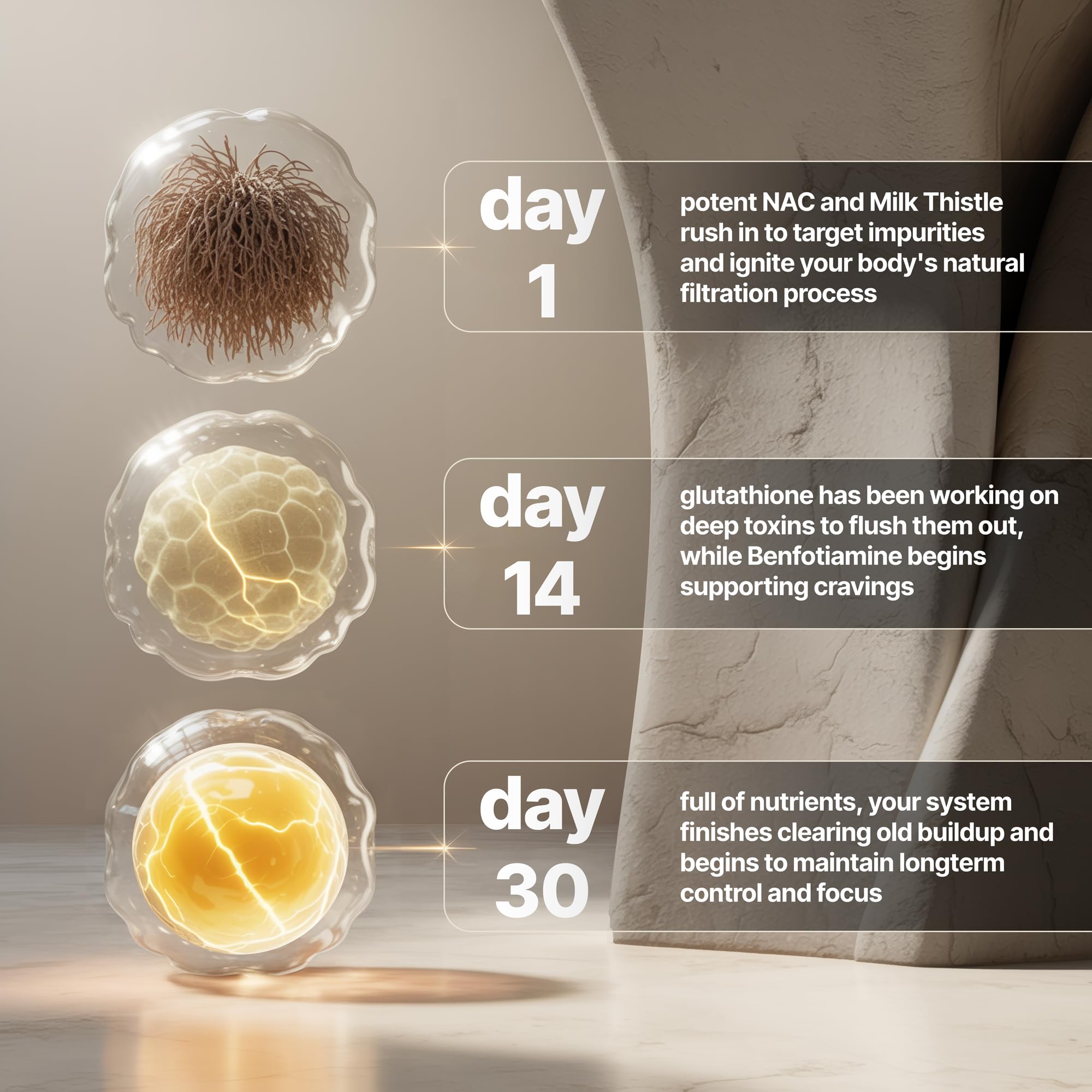 Nevora Labs Daily Supplement Capsules close-up of capsules