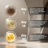 Nevora Labs Daily Supplement Capsules close-up of capsules