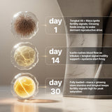 Nevora Labs Fertility Fuel nutritional information