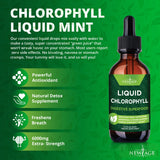 NEW AGE Chlorophyll Drops lifestyle scene
